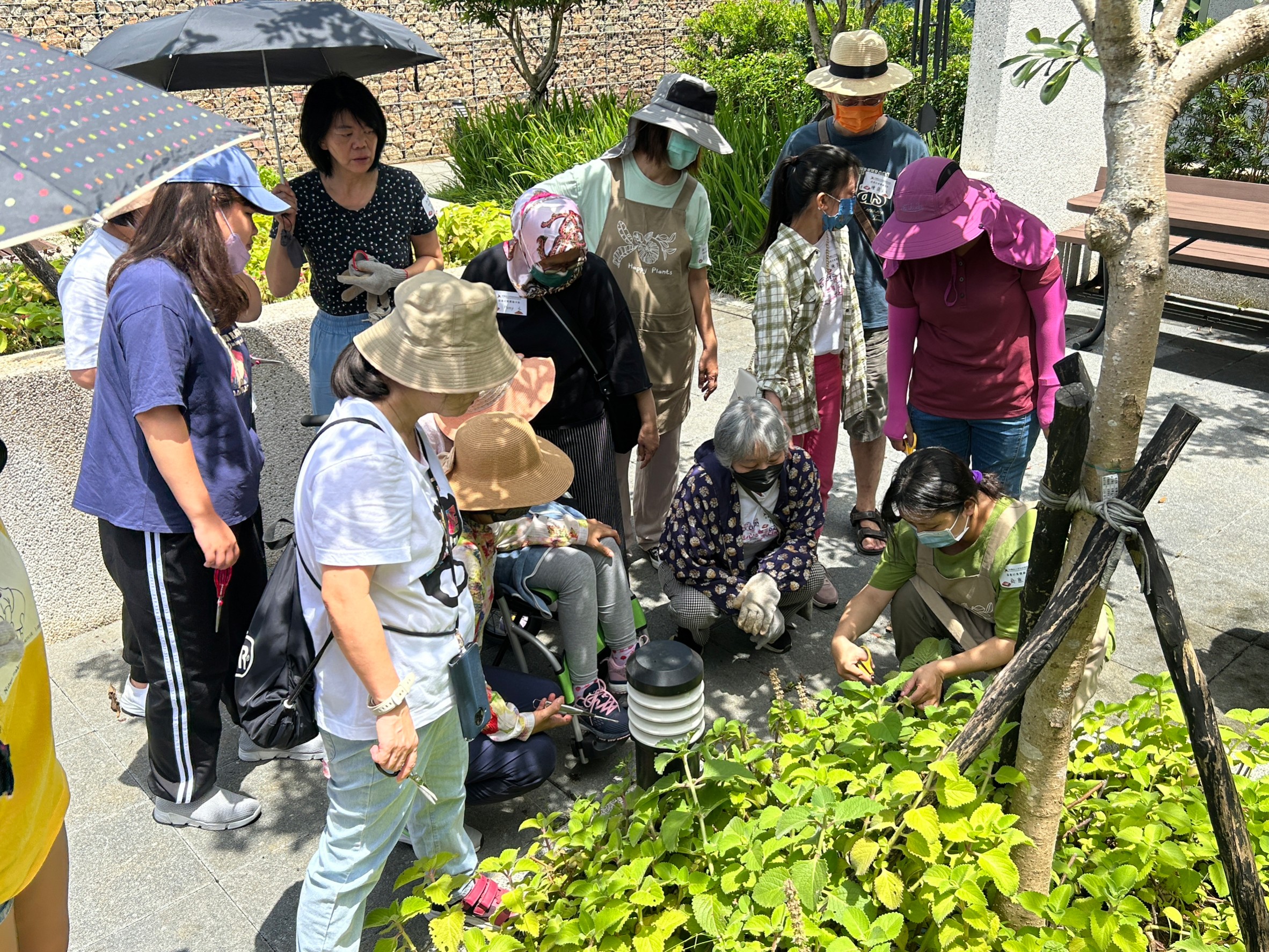 【財團法人罕見疾病基金會】【病友活動】園藝紓壓體驗活動,圓滿結束!